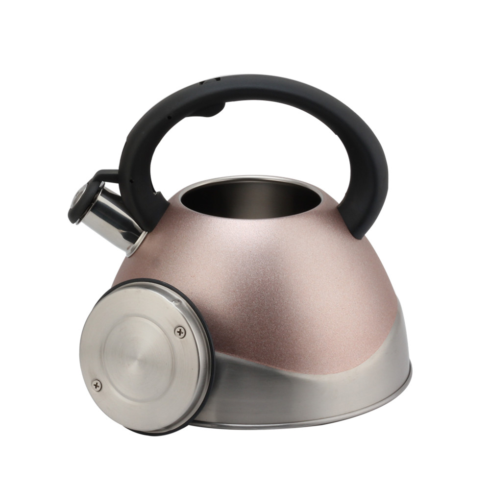 Modern Stainless Steel Whistling Kettle, Ergonomic Handle