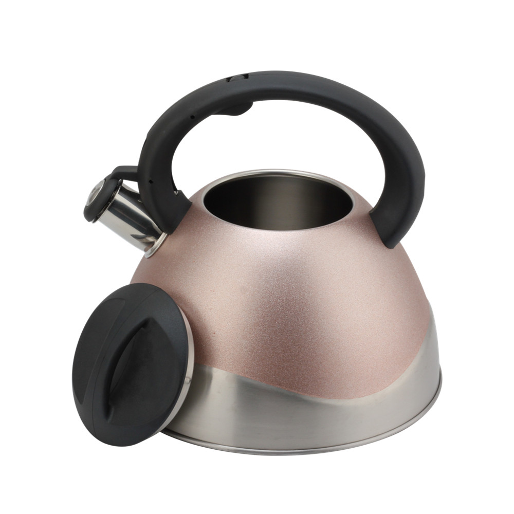 Modern Stainless Steel Whistling Kettle, Ergonomic Handle