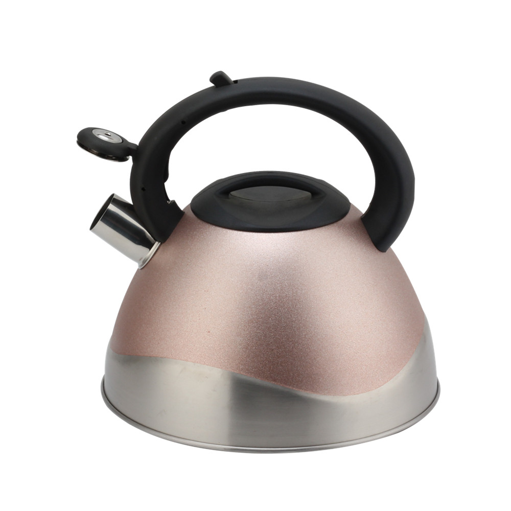 Modern Stainless Steel Whistling Kettle, Ergonomic Handle