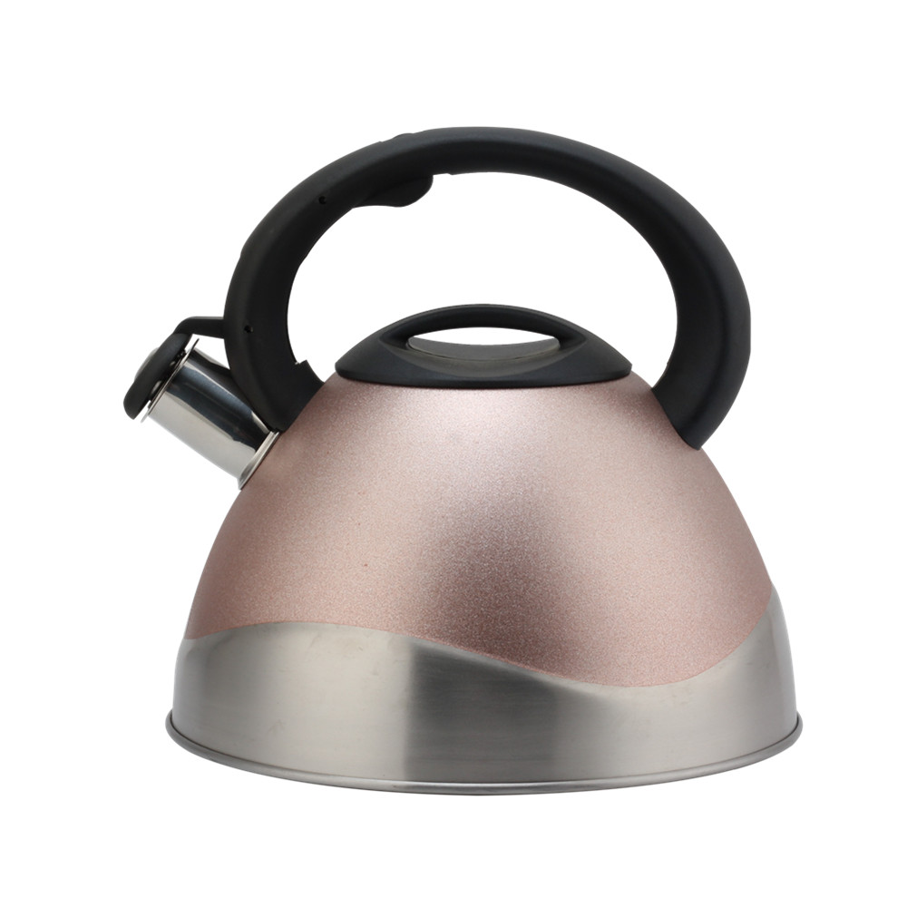 Modern Stainless Steel Whistling Kettle, Ergonomic Handle